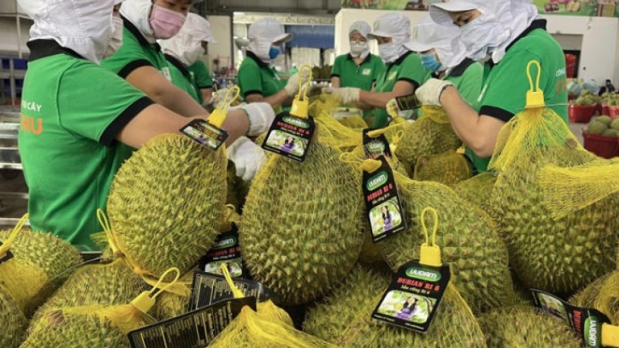 Chinese businesses seek to expand imports of Vietnamese agro-forestry products